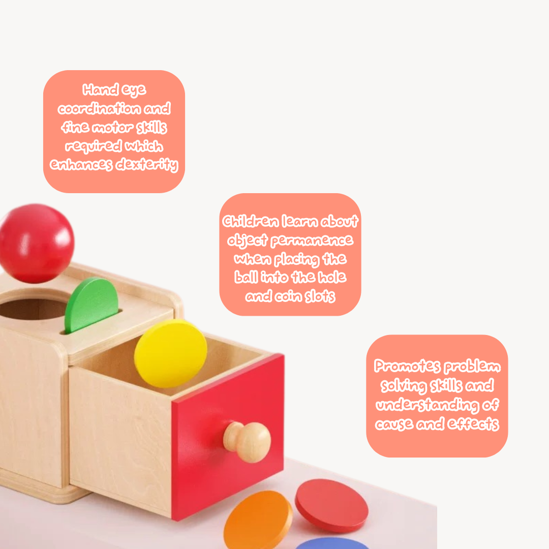 Montessori: Wooden Learning Toys