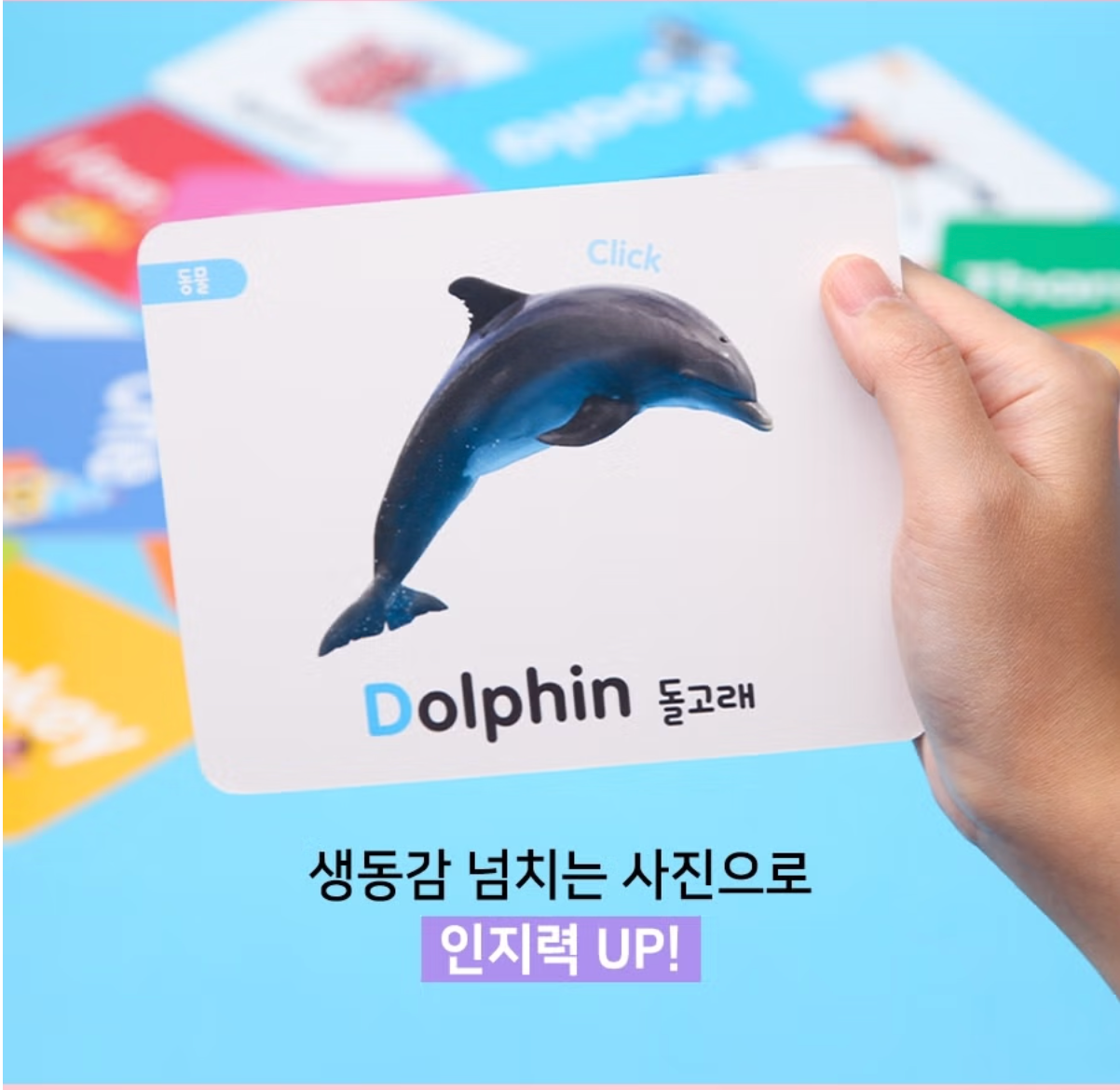 PINKFONG - Baby Shark Reading Flash Cards (120pcs)