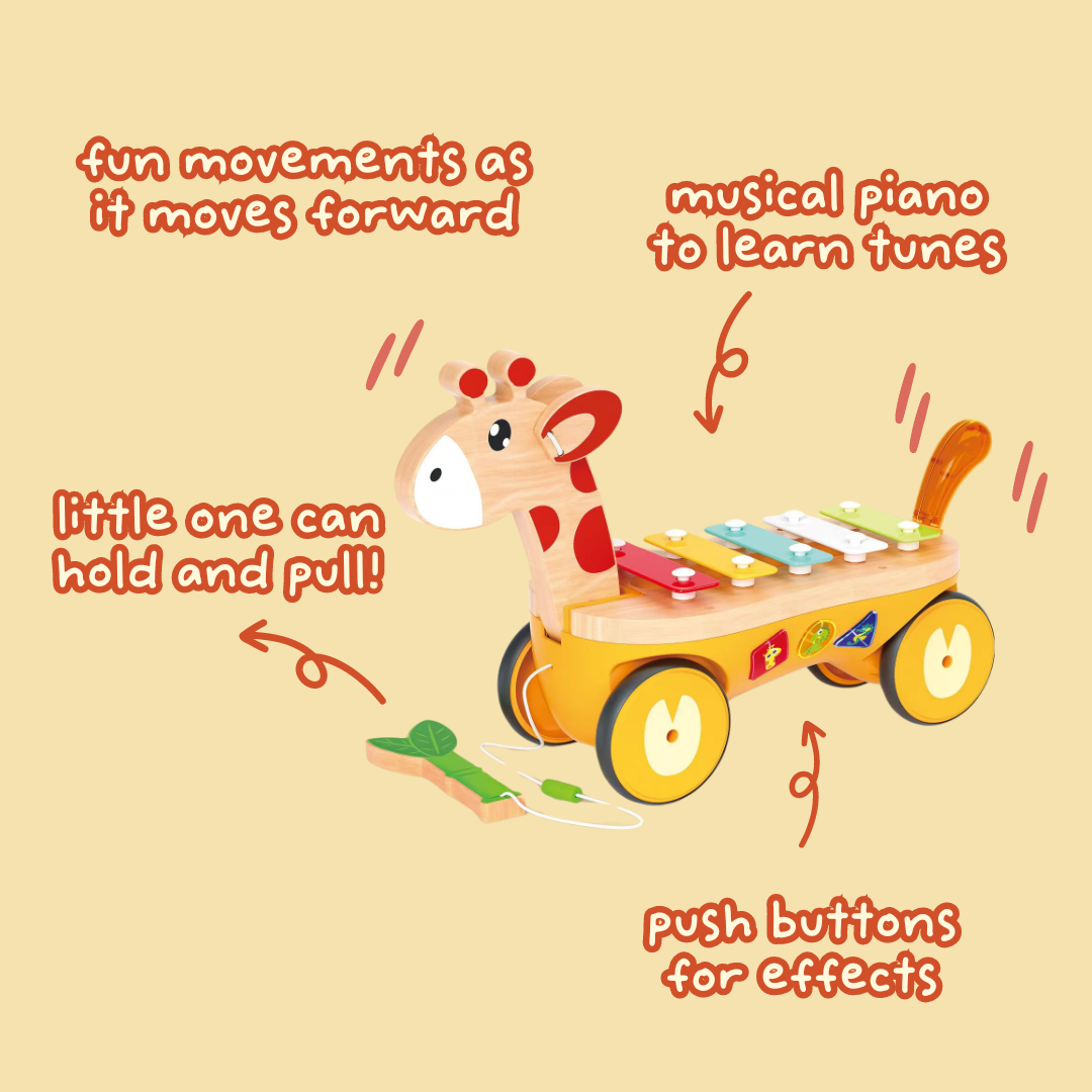 Pull Along Musical Pals - Jazz Giraffe