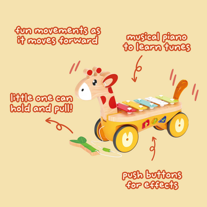Pull Along Musical Pals - Jazz Giraffe