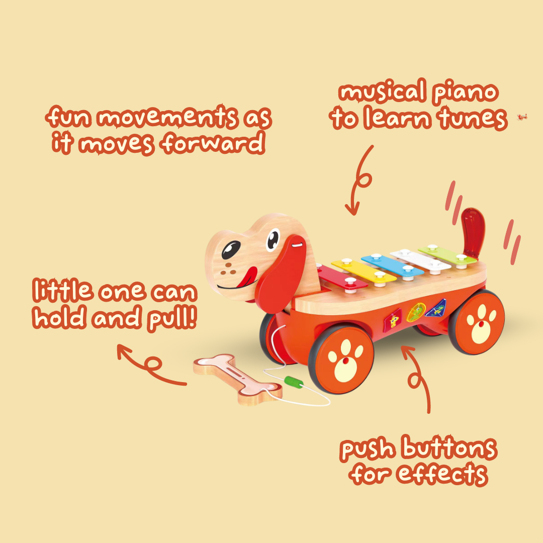 Pull Along Musical Pals - Piano Puppy