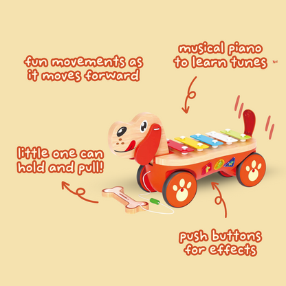 Pull Along Musical Pals - Piano Puppy