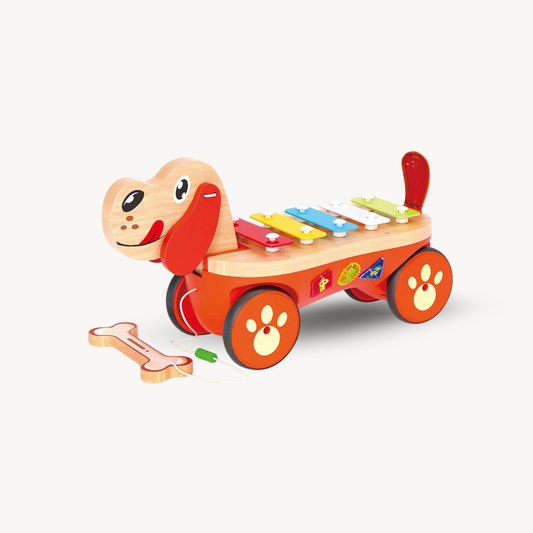 Pull Along Musical Pals - Piano Puppy