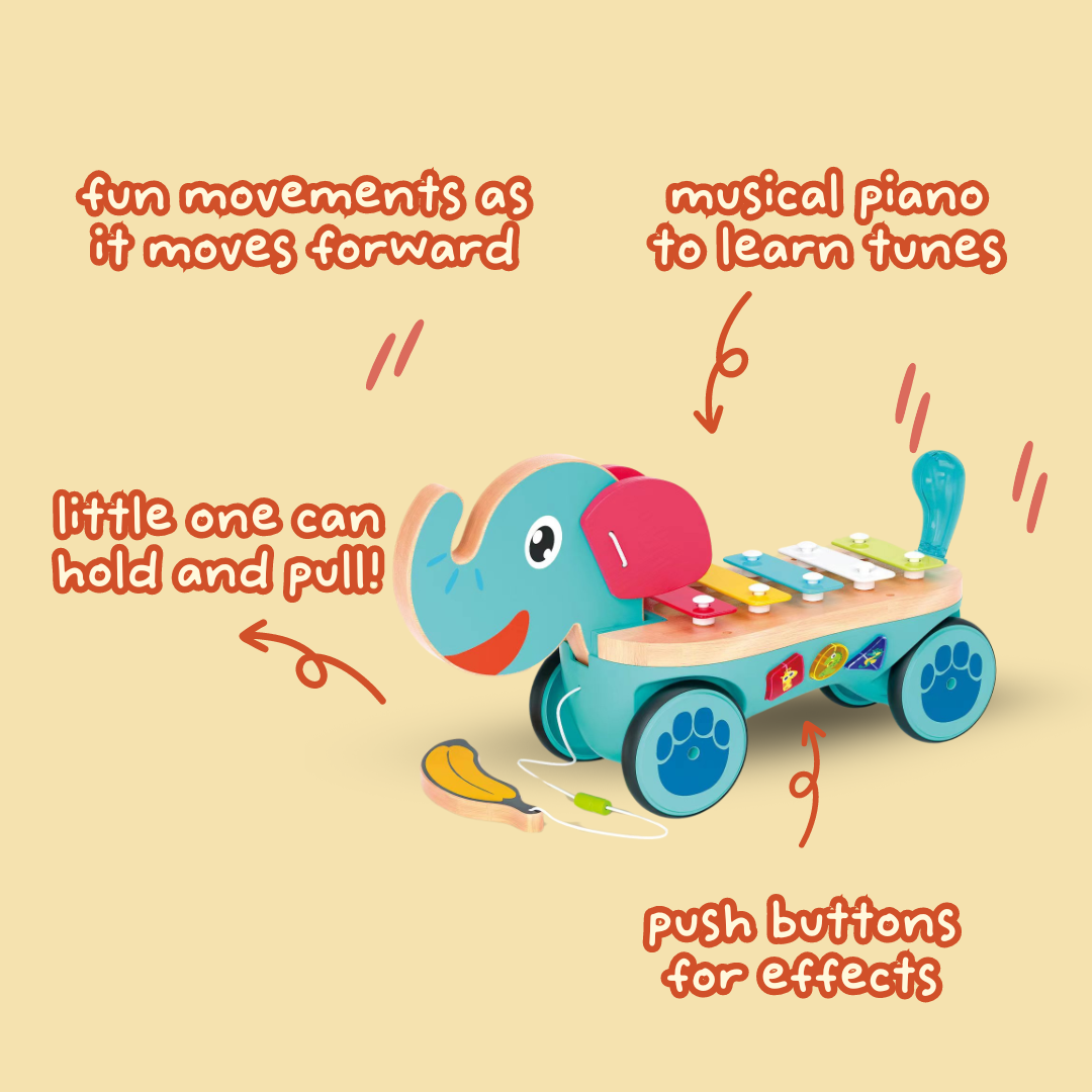Pull Along Musical Pals - Melody Ele