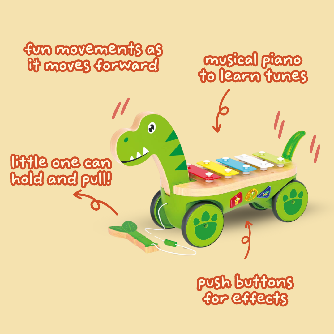 Pull Along Musical Pals - Rhythm Rex