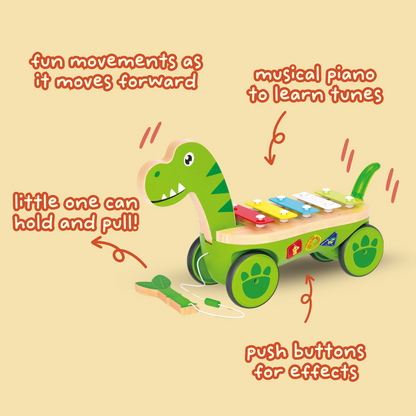 Pull Along Musical Pals - Rhythm Rex